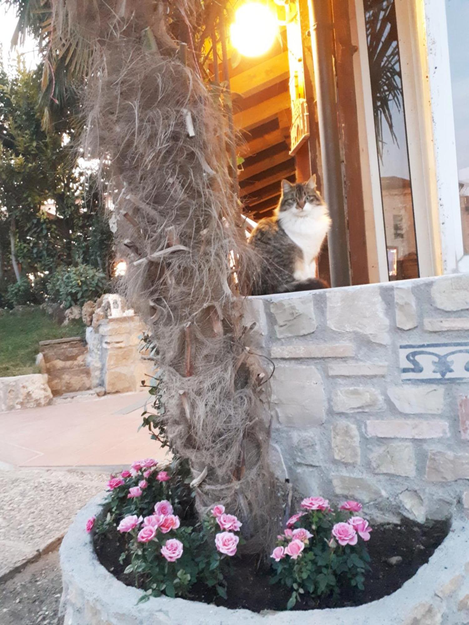 Perla Bed & Breakfast Gussago Ngoại thất bức ảnh